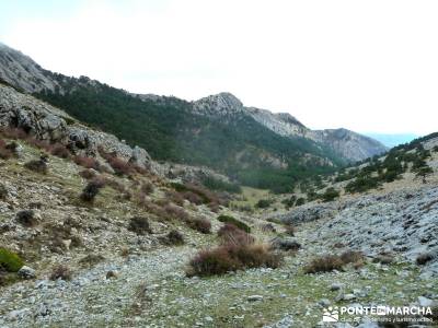 Cazorla - Río Borosa - Guadalquivir; barranca dehesas de cercedilla madrid cercedilla